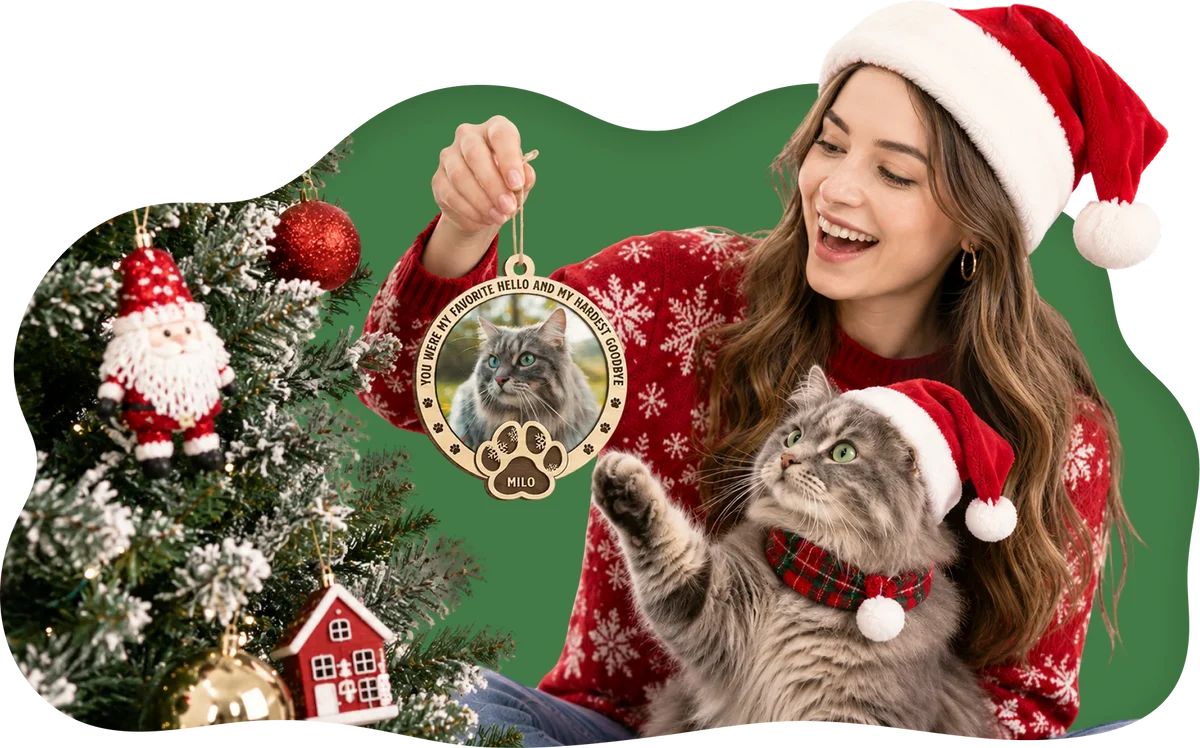 Ornaments That Make Your Tree Shine